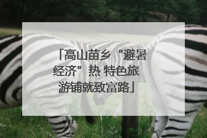 高山苗乡“避暑经济”热 特色旅游铺就致富路