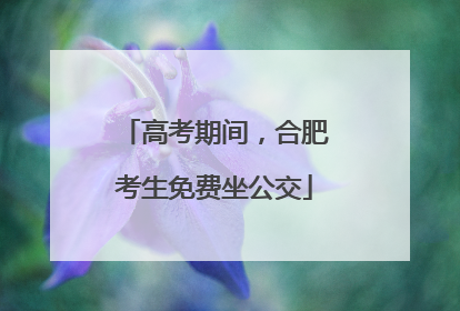 高考期间，合肥考生免费坐公交