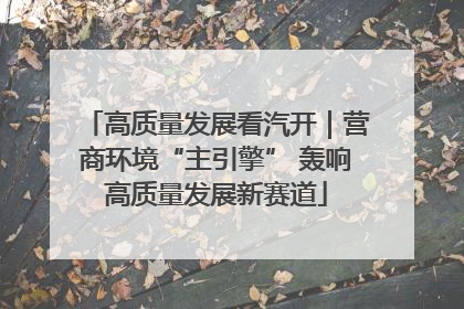高质量发展看汽开｜营商环境“主引擎” 轰响高质量发展新赛道