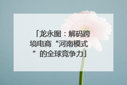 龙永图：解码跨境电商“河南模式”的全球竞争力