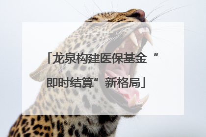 龙泉构建医保基金“即时结算”新格局