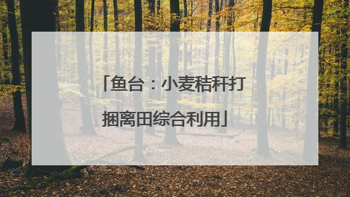 鱼台：小麦秸秆打捆离田综合利用