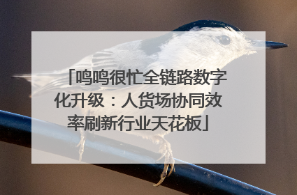 鸣鸣很忙全链路数字化升级：人货场协同效率刷新行业天花板