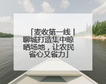 麦收第一线丨聊城打造集中晾晒场地，让农民省心又省力