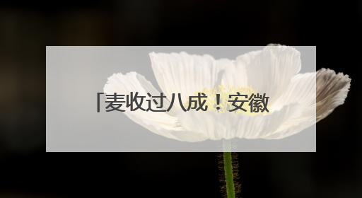 麦收过八成！安徽夏粮有望再迎丰收