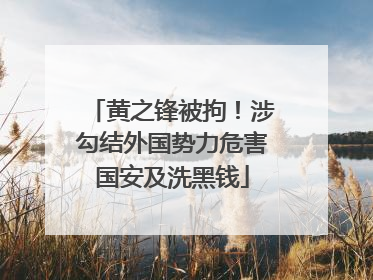 黄之锋被拘！涉勾结外国势力危害国安及洗黑钱