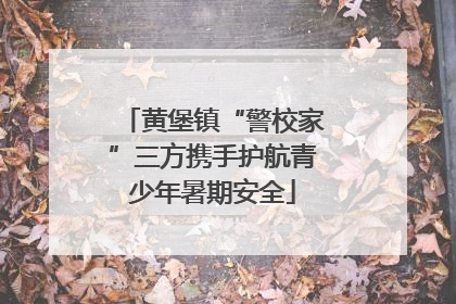黄堡镇“警校家”三方携手护航青少年暑期安全