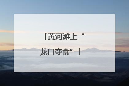 黄河滩上“龙口夺食”