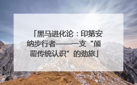 黑马进化论：印第安纳步行者——一支“颠覆传统认识”的劲旅