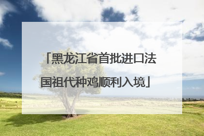 黑龙江省首批进口法国祖代种鸡顺利入境