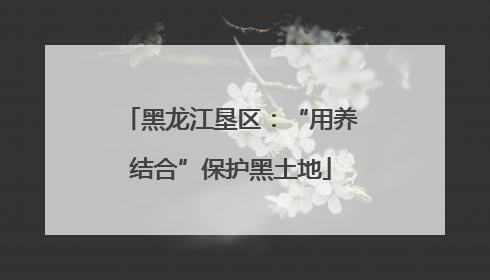 黑龙江垦区：“用养结合”保护黑土地