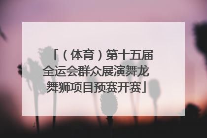 （体育）第十五届全运会群众展演舞龙舞狮项目预赛开赛