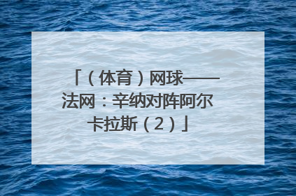 （体育）网球——法网：辛纳对阵阿尔卡拉斯（2）