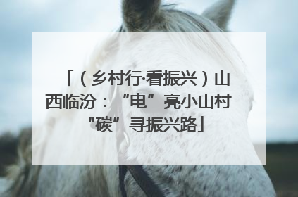 （乡村行·看振兴）山西临汾：“电”亮小山村 “碳”寻振兴路