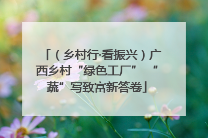 （乡村行·看振兴）广西乡村“绿色工厂” “蔬”写致富新答卷