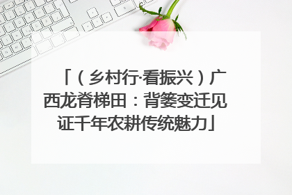 （乡村行·看振兴）广西龙脊梯田：背篓变迁见证千年农耕传统魅力