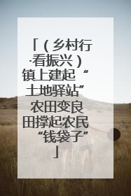 （乡村行·看振兴）镇上建起“土地驿站” 农田变良田撑起农民“钱袋子”
