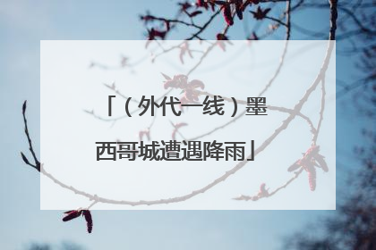 （外代一线）墨西哥城遭遇降雨