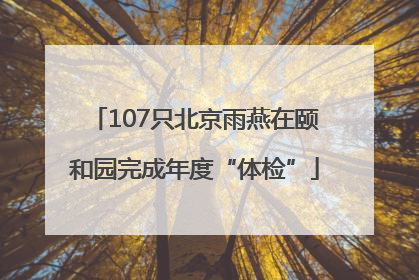 107只北京雨燕在颐和园完成年度“体检”