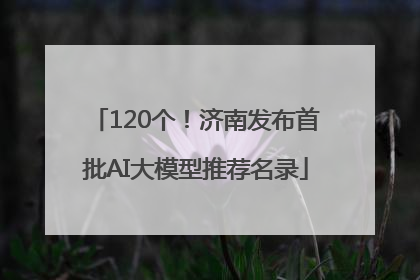 120个！济南发布首批AI大模型推荐名录