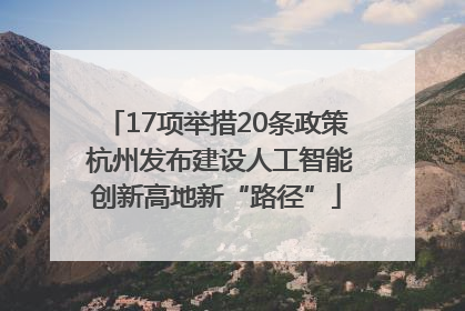 17项举措20条政策 杭州发布建设人工智能创新高地新“路径”
