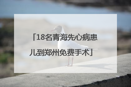 18名青海先心病患儿到郑州免费手术