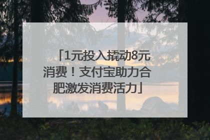 1元投入撬动8元消费！支付宝助力合肥激发消费活力