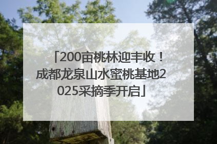 200亩桃林迎丰收！成都龙泉山水蜜桃基地2025采摘季开启