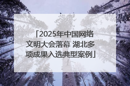 2025年中国网络文明大会落幕 湖北多项成果入选典型案例