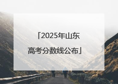 2025年山东高考分数线公布