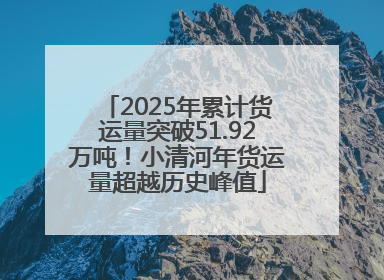 2025年累计货运量突破51.92万吨！小清河年货运量超越历史峰值