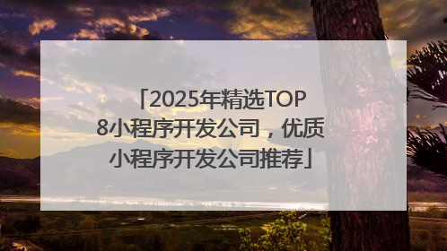 2025年精选TOP8小程序开发公司，优质小程序开发公司推荐