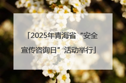 2025年青海省“安全宣传咨询日”活动举行