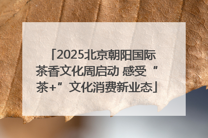 2025北京朝阳国际茶香文化周启动 感受“茶+”文化消费新业态