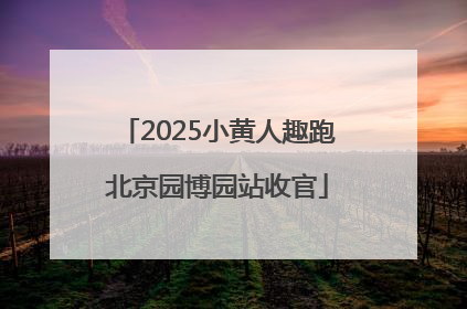 2025小黄人趣跑北京园博园站收官