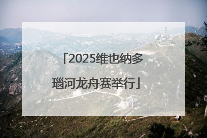 2025维也纳多瑙河龙舟赛举行