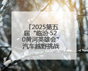 2025第五届“临汾·520黄河英雄会” 汽车越野挑战赛盛大启幕