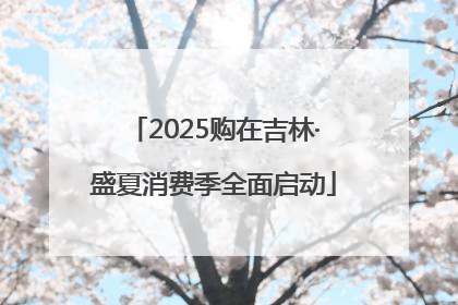 2025购在吉林·盛夏消费季全面启动