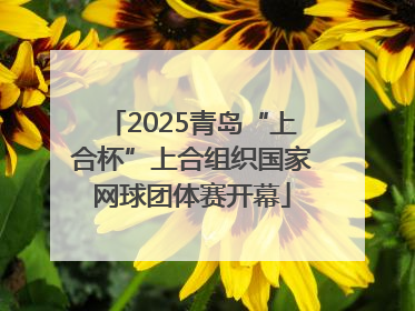 2025青岛“上合杯”上合组织国家网球团体赛开幕
