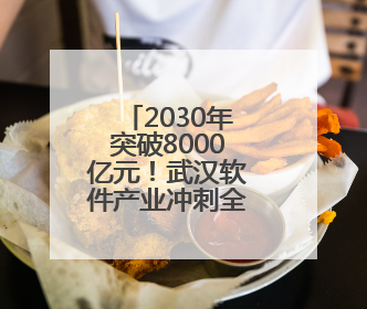 2030年突破8000亿元！武汉软件产业冲刺全国第一梯队