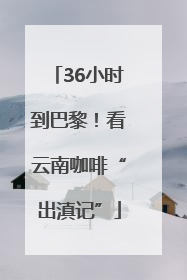 36小时到巴黎！看云南咖啡“出滇记”