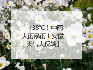 38℃！中雨大雨暴雨！安徽天气大反转