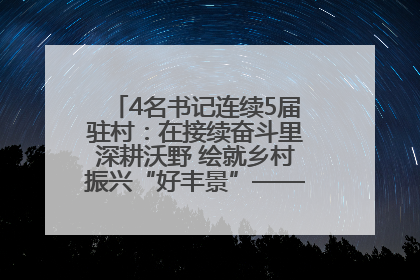 4名书记连续5届驻村：在接续奋斗里深耕沃野 绘就乡村振兴“好丰景”——浦发银行南京分行助力脱贫攻坚、帮促乡村振兴记事（二）