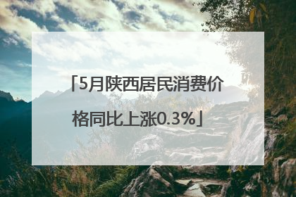 5月陕西居民消费价格同比上涨0.3%