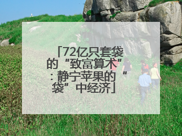 72亿只套袋的“致富算术”：静宁苹果的“袋”中经济