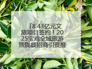 8.43亿元文旅项目签约！2025宝鸡全域旅游暨陇县招商引资推介会在西安举办