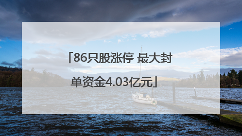 86只股涨停 最大封单资金4.03亿元