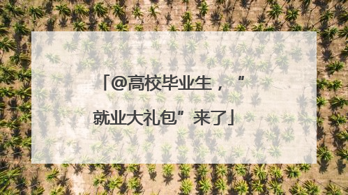 @高校毕业生，“就业大礼包”来了