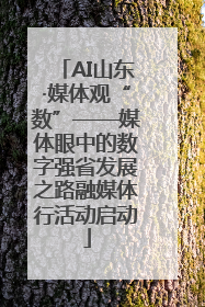 AI山东·媒体观“数”——媒体眼中的数字强省发展之路融媒体行活动启动