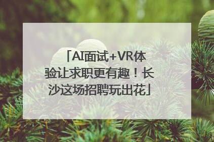 AI面试+VR体验让求职更有趣！长沙这场招聘玩出花